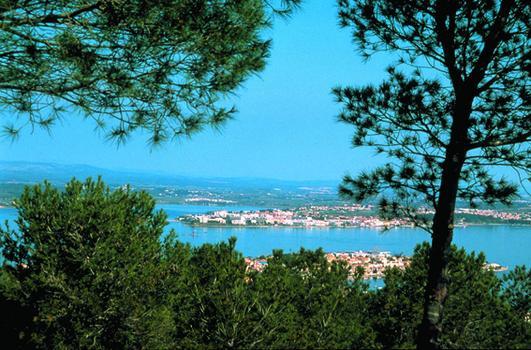 Les Oliviers Apartamento Balaruc-les-Bains Exterior foto